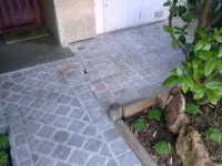 Service paysagiste (1)